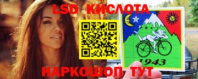 spice Камышлов