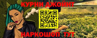 spice Камышлов
