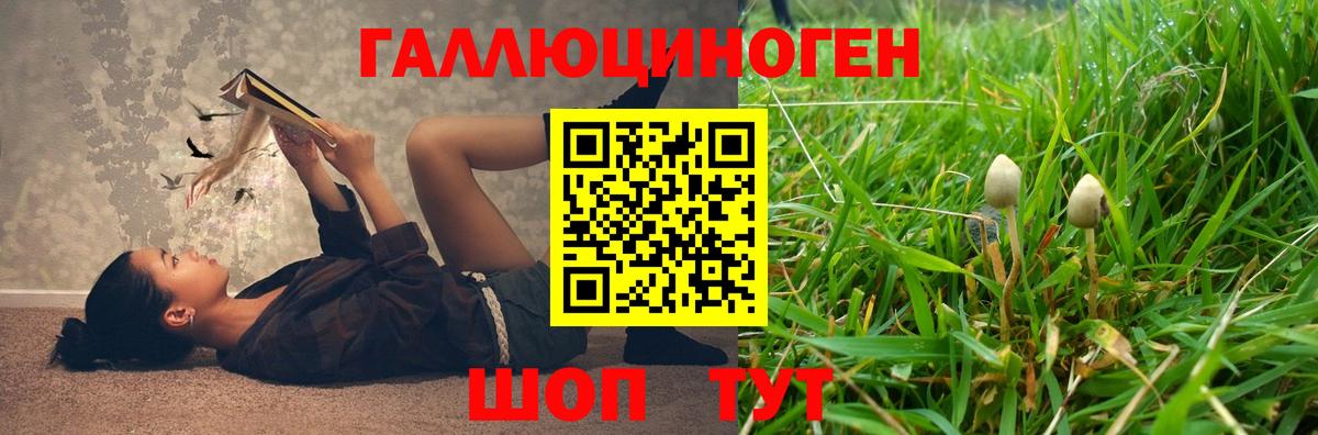 Буйнакск  Псилоцибиновые грибы MAGIC MUSHROOMS  Псилоцибиновые грибы Cubensis  как найти   Вход с VPN 